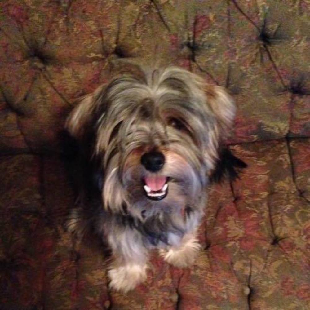 Meet your Posher, Christy